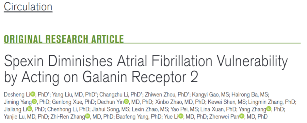 哈尔滨医科大学杨宝峰院士团队提出心房颤动的治疗新思路