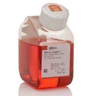 Opti-MEM，无酚红11058021