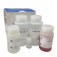 一步法SDS-PAGE AB液快速制胶试剂盒 10%