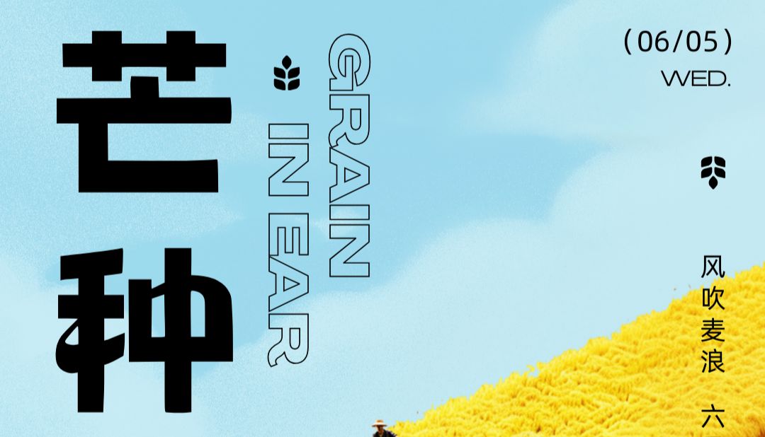 芒种 | “芒”有所获，“种”有所得