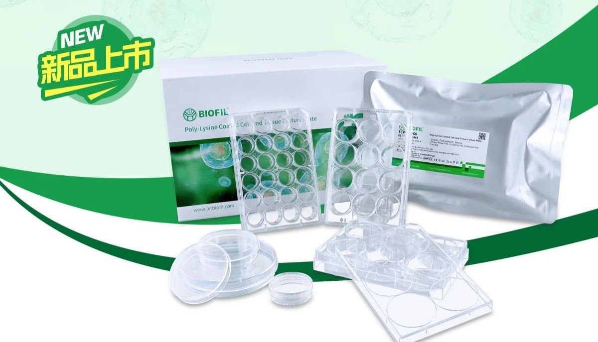 洁特上新 | 多聚-D-赖氨酸包被表面产品