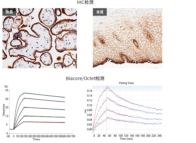 产品细节图片11