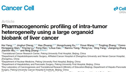 IF=50.3丨Cancer Cell:利用大型肝癌类器官生物库对肿瘤异质性进行药物基因组学分析