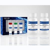 KeyTec® TR-FRET Human IgG Detection kit (1,000 tests)