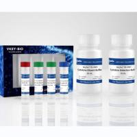 KeyTec® TR-FRET Human IL6 Detection kit (1000 tests)