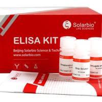Human CLEC13D/CD206 ELISA Kit