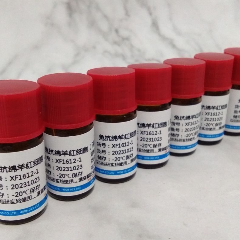 IL-14、IL-1B、IL-2、IL-3、IL-4、IL-8、TNF-a 抗原