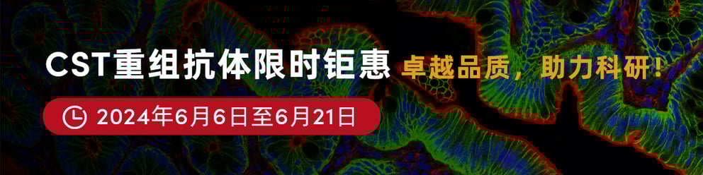 CST重组抗体限时钜惠：卓越品质，助力科研！