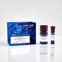 KeyTec® Ultra Luciferase Detection Kit (no DTT) (100 tests)