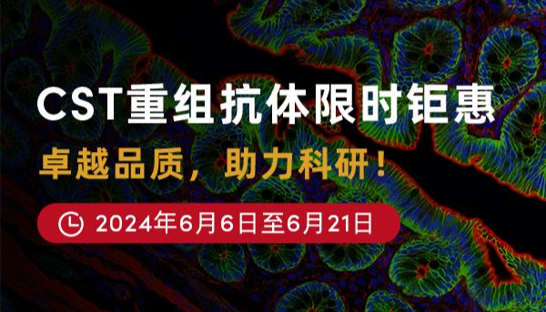 CST重组抗体限时钜惠：卓越品质，助力科研！