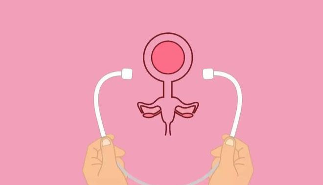 卵巢癌动物模型