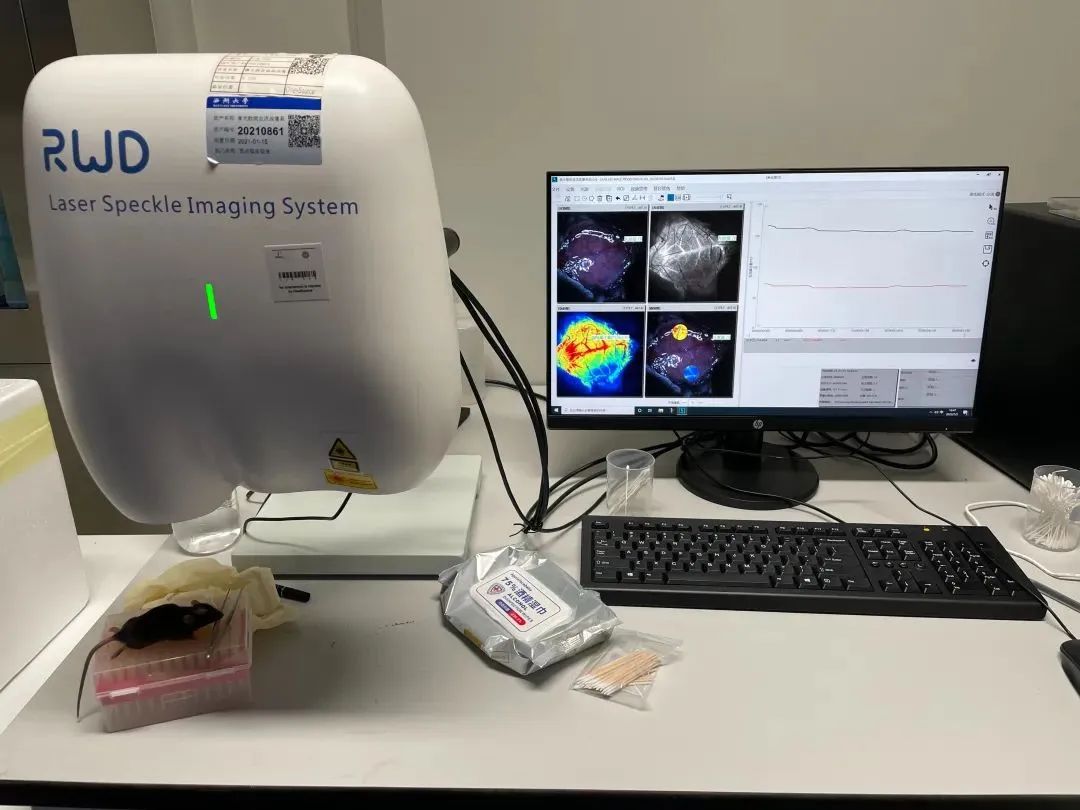 六年磨一剑，一朝显锋芒——对话西湖大学贾洁敏团队张冬冬博士，揭秘神经科学顶刊背后的心路历程