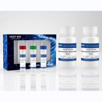KeyTec® TR-FRET Human Fc Detection kit (1,000 tests)