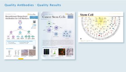GeneTex新上架细胞类型标记重组单抗