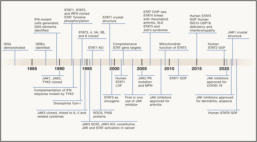 Cell 重磅！JAK-STAT 通路 30 年大事记（附十大免疫学信号通路图）
