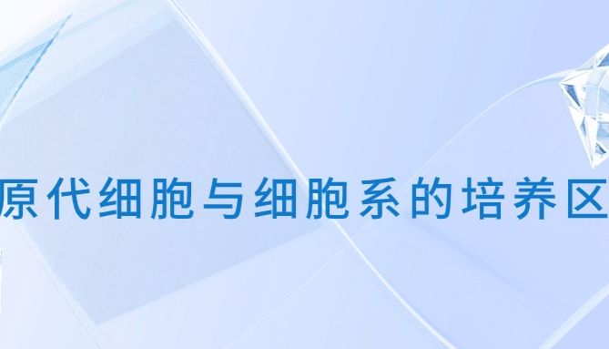 原代细胞与细胞系的培养区别