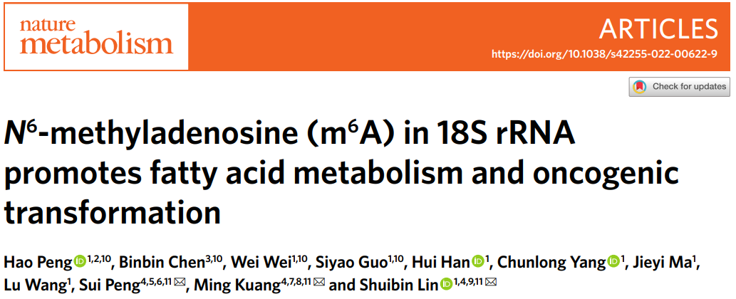 Nat Metab.| Ribo-seq技术挖掘出肝癌发生新机制