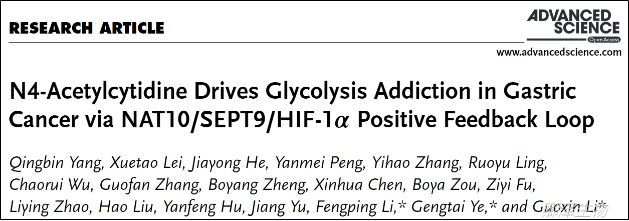 Adv Sci. | Ribo-seq技术助力挖掘胃癌的联合用药新策略