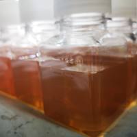 特级胎牛血清(无菌过滤、热灭活)