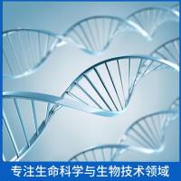 Recombinant Human SFTPA1, N-His