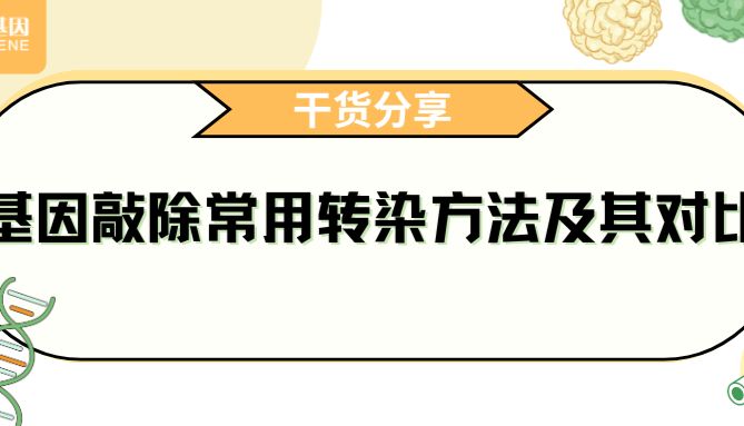 【干货分享】基因敲除常用转染方法及其对比