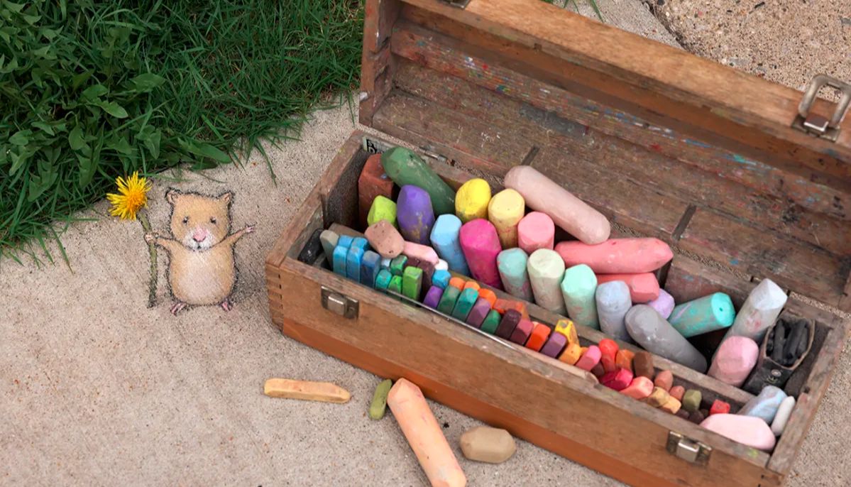 使用 ibidi 双腔室载玻片进行细胞共培养实验