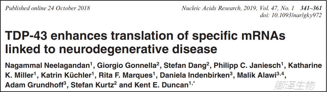 Nucleic Acids Res. | Polysome profiling和Ribo-seq助力挖掘神经退行性疾病中功能分子