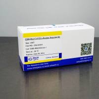 HEK293 宿主细胞 DNA 残留检测试剂盒