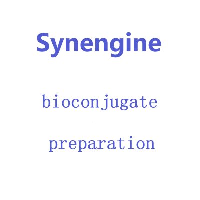preparation of drug-enzyme conjugates