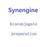 preparation of drug-enzyme conjugates
