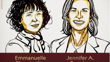 精品推荐 | 高效sgRNA合成试剂盒，加速基因编辑研究进程