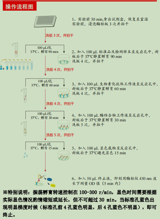 大鼠白介素17检测试剂盒
