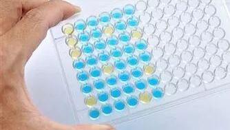 洗板对ELISA结果影响汇总