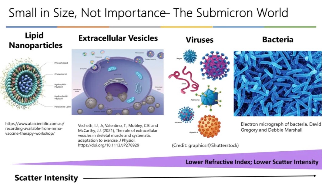 开启小颗粒世界之门，干货满满纯实战经验分享