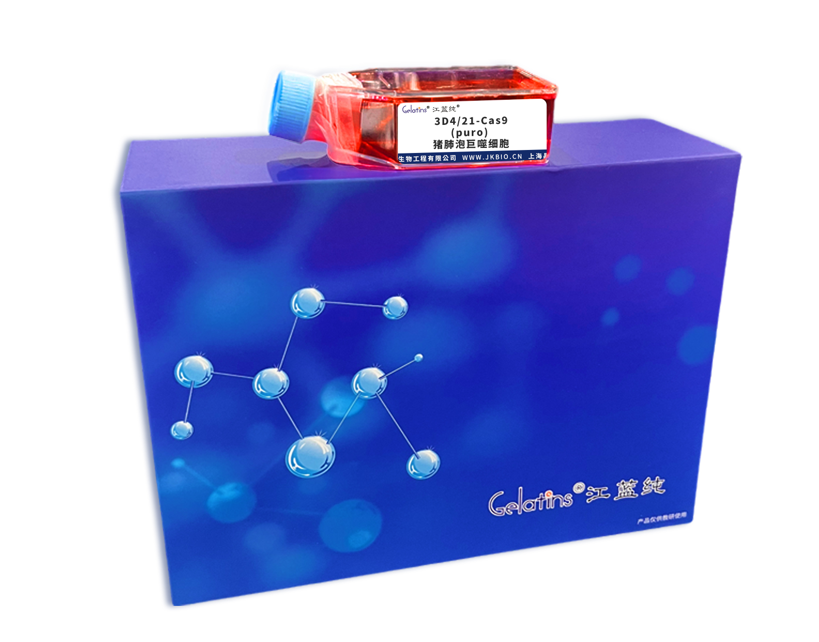 3D4/21-Cas9(puro) 猪肺泡巨噬细胞