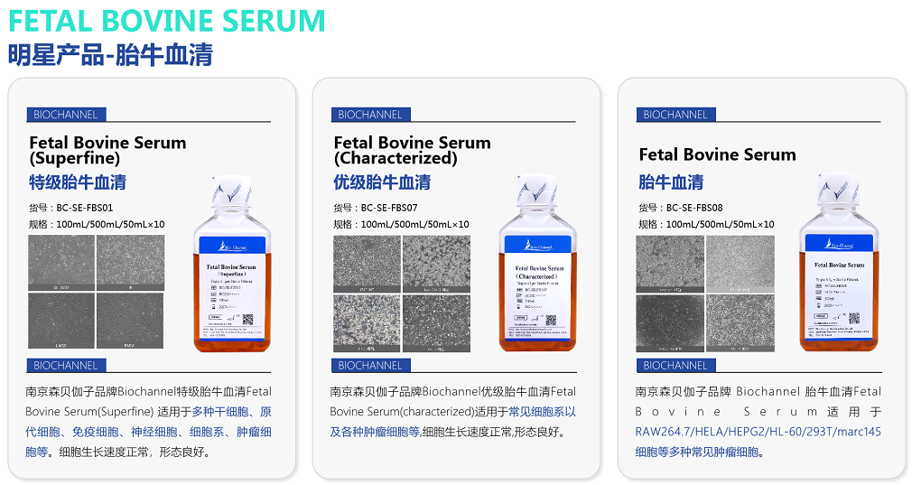 特级胎牛血清 Fetal Bovine Serum(Sup