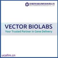 Vector Biolabes