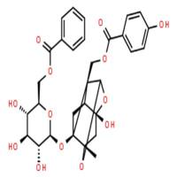 苯甲酰氧化芍药苷