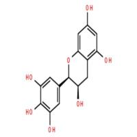 表没食子儿茶素