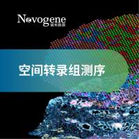 空间转录组测序