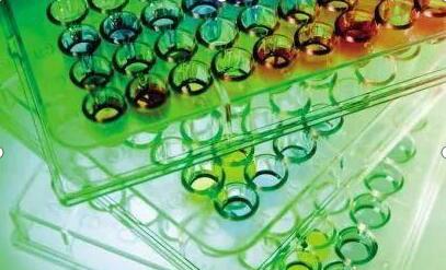 洗板对ELISA结果影响汇总