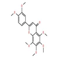 川陈皮素