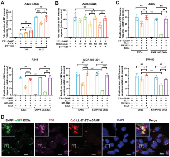外泌体技术服务