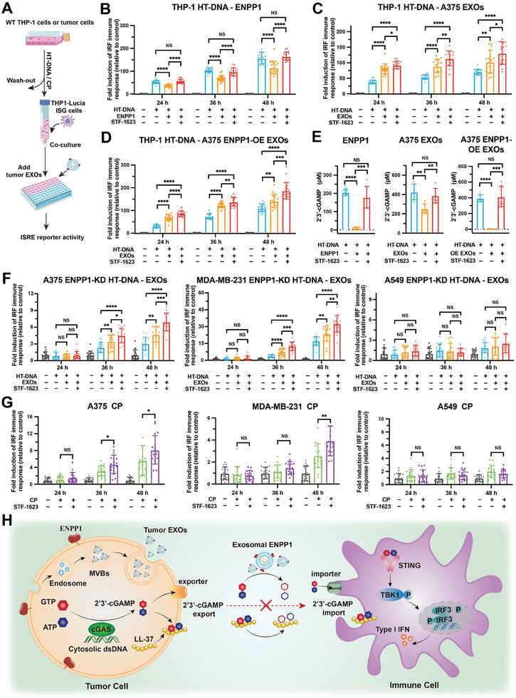 外泌体技术服务