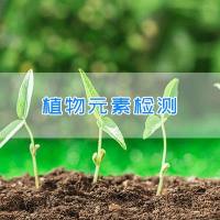 植物元素检测