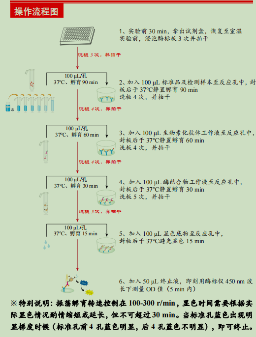 小鼠白介素7检测试剂盒