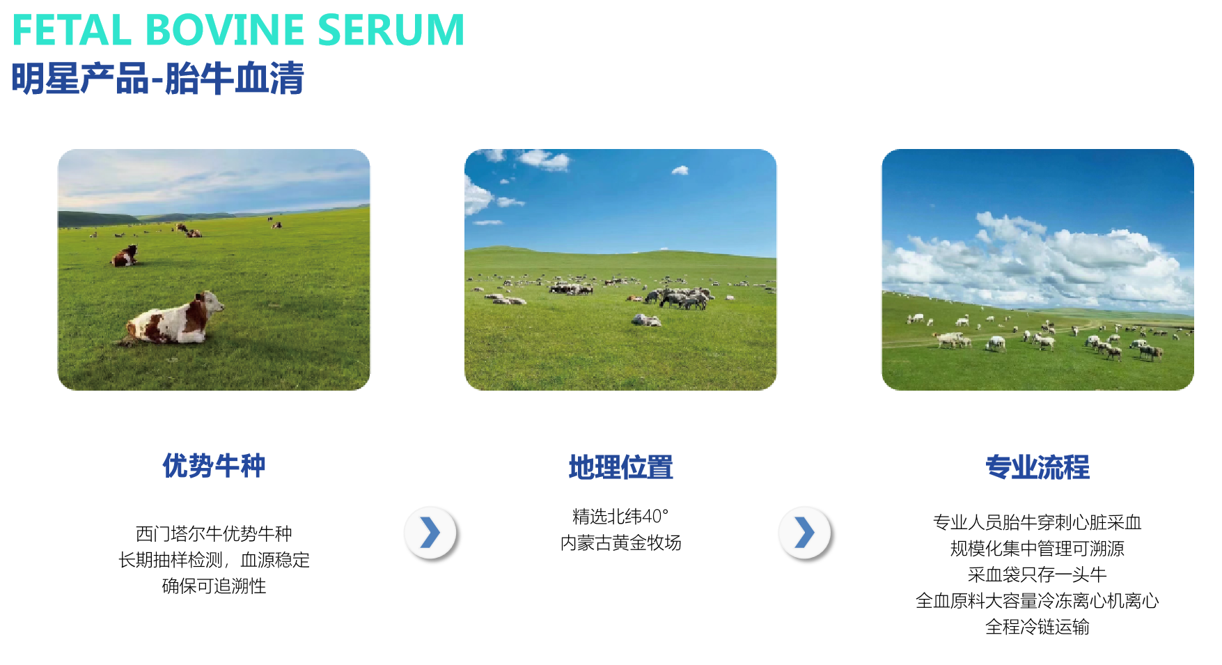 特级胎牛血清 Fetal Bovine Serum(Sup