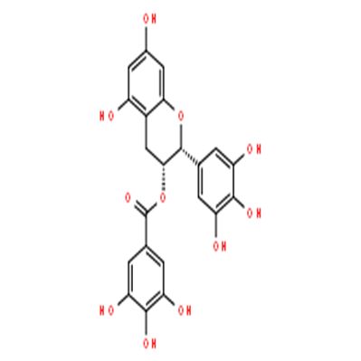 表没食子儿茶素没食子酸酯