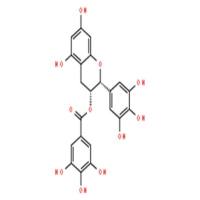 表没食子儿茶素没食子酸酯