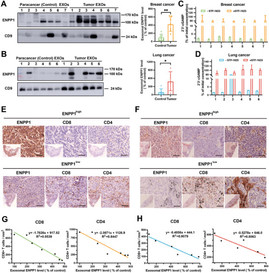 外泌体技术服务